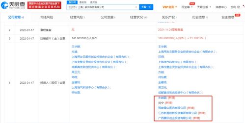 信息技術咨詢服務的價值與未來發展
