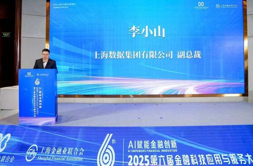 AI賦能金融創(chuàng)新 2025第六屆金融科技應(yīng)用與服務(wù)大會聚焦信息技術(shù)咨詢服務(wù)新范式